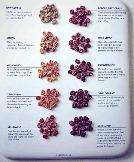 Pecinta Kopi dan Ritual Minum Kopi