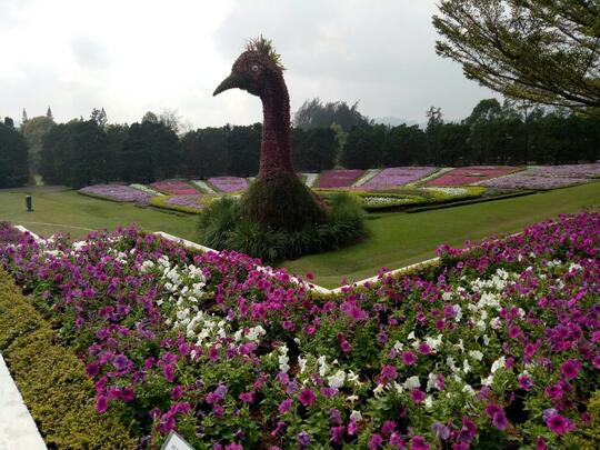 Kaskustravelstory Menilik Indahnya Taman Bunga Nusantara