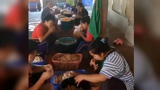 Jijik, 3 Cara Pengolahan Ceker Ayam Ini Bisa Bikin Muntah