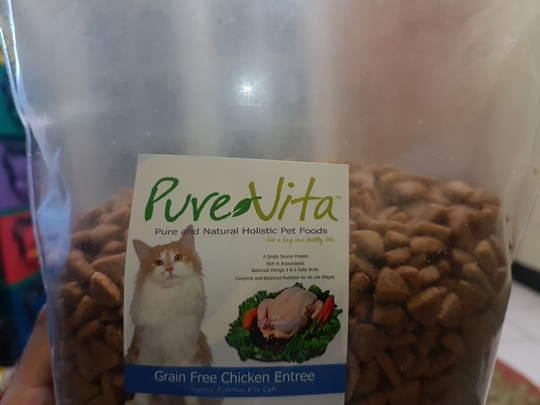 All About Cat Food Dry Food Kibble Wet Food Canned Page 447