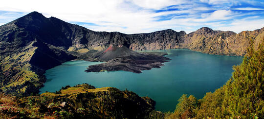 Jamur Termahal di Dunia Lahir di Gunung Rinjani