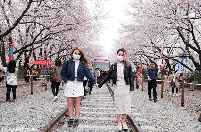 Nembak Han Yoo Ra Ditengah Romantisme Hamparan Bunga Sakura Jinhae ?