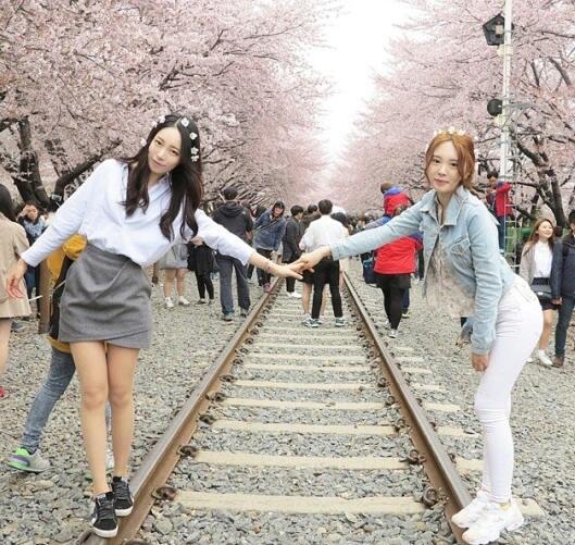 Nembak Han Yoo Ra Ditengah Romantisme Hamparan Bunga Sakura Jinhae ?