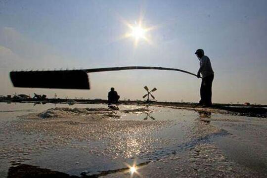 SUKSES ITU KALAU PUNYA TAMBAK UDANG, GUDANG GARAM dan HEKTARAN SAWAH