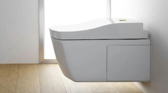 Toilet Ini Dijual Rp 150 Juta, Apa Istimewanya?