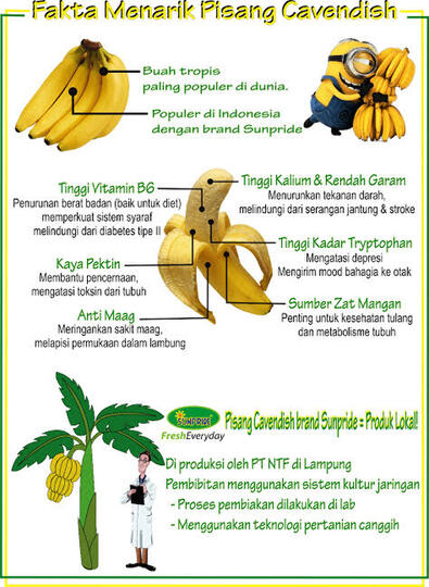 Apa itu Pisang Cavendish ??