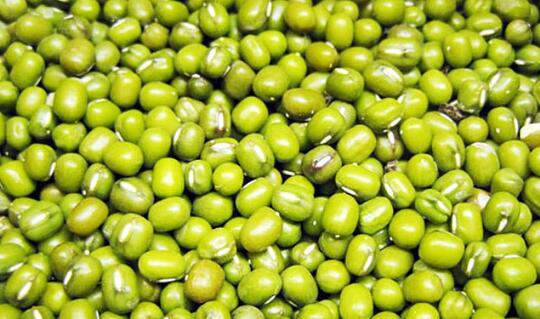 12 Jenis Kacang Yang Bisa Dijumpai Di Indonesia Kaskus 12 Jenis Kacang Yang Bisa Dijumpai Di Indonesia Kaskus