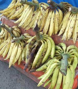 Kuliner Gorengan Pisang Goreng Jumbo