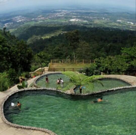 Sensasi Ngopi Di Atas Awan Wisata Alam Umbul Sidomukti Di