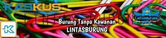 Ngaku Pecinta Film Jepang, Kalian Wajib Nonton 5 Film Ini! (JAVLovers)