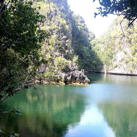 Yuk jelajahi danau ubur-ubur ala Spongebob di Lenmakana, Misool