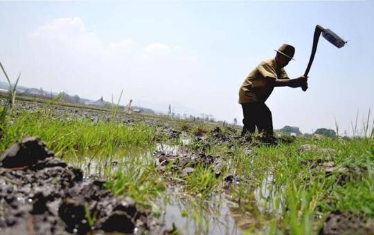 Bekerja Membentuk Harga Diri tetap Terhormat (Spesial Hari Buruh) 