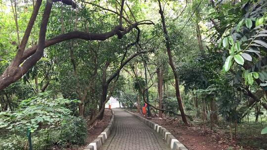 Menengok Hutan Kota Srengseng Oase Sejuk Di Tengah Jakarta