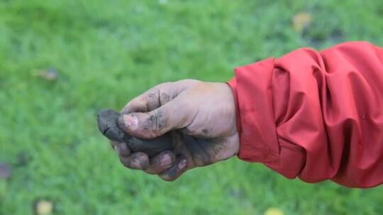 [COC GL] Cara Membangun Hutan secara Alami, Cepat, dan Dapat Dilakukan Di Manapun 