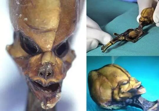 5 Monster Spesies Baru yang Belum Dapat Teridentifikasi oleh Para Ilmuwan