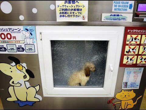 Vending Machine Canggih Ini Cuma Jepang yang Punya Lho, Gan 