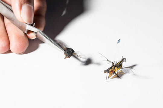 RoboFly, Robot Terbang Terkeil di Dunia