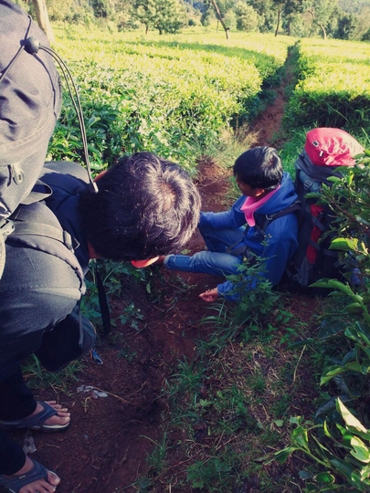 KISAH Menembus Waktu ( Bertemu Diri Sendiri di Segoro Wedi ) Puncak Sindoro