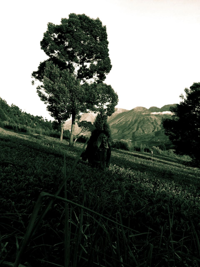 KISAH Menembus Waktu ( Bertemu Diri Sendiri di Segoro Wedi ) Puncak Sindoro