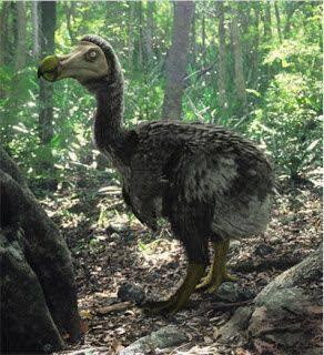 Burung Dodo Yang Lucu, Namun Sayang Katanya Sudah Punah ?