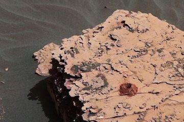 Robot Penjelajah Curiosity Temukan 'Blok Bangunan Kehidupan' di Mars 