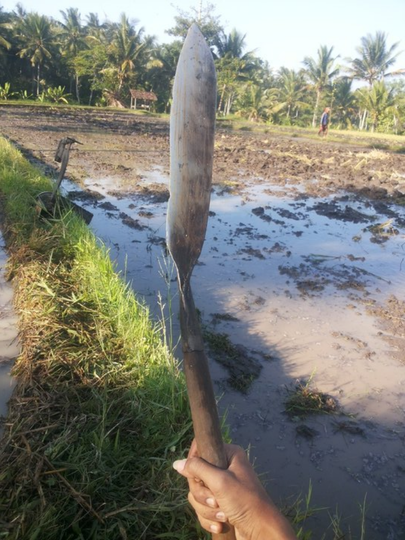 Pembantaian Banjarsari - Banyuwangi