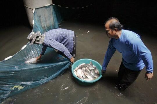 Unik !! Mall Berubah Jadi Sarang Ikan