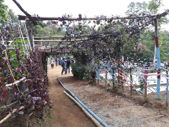 Rumah Pohon Tabek Patah Batusangkar Sumatera Barat Kaskus