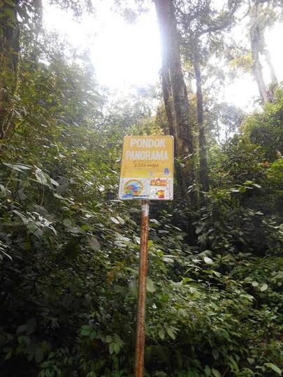 Mendaki Gunung Kerinci, Gunung Api Tertinggi Di Indonesia