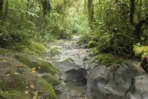 Mendaki Gunung Kerinci, Gunung Api Tertinggi Di Indonesia