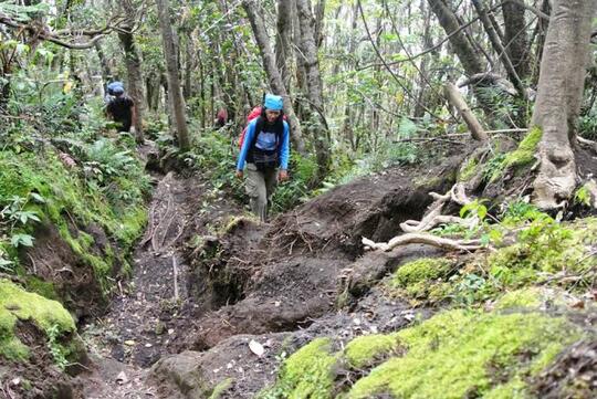 Mendaki Gunung Kerinci, Gunung Api Tertinggi Di Indonesia