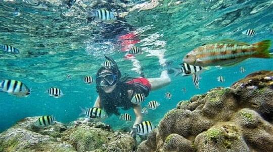 Snorkeling Di Pantai Sadranan Jogja Kaskus