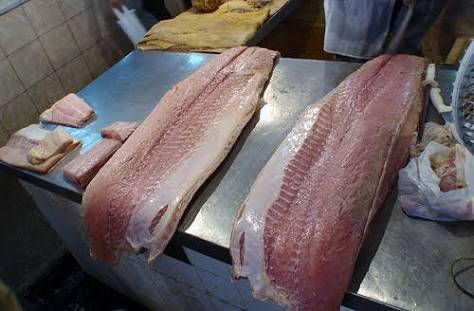 Fakta-Fakta Tentang Arapaima Sang Predator Sungai di Indonesia