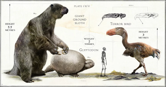Ini Ukuran Hewan Modern Di Zaman Purba Kaskus