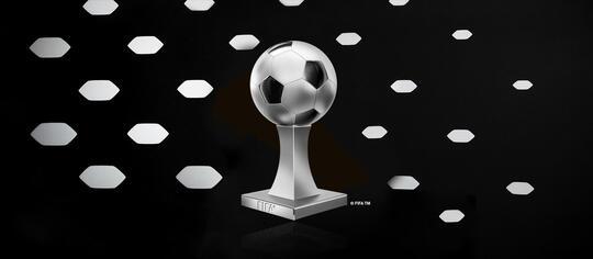 Beberapa Penghargaan Yang Diberikan FIFA