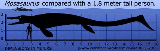 Mengenal Mosasaurus dan Tyrannosaurus rex