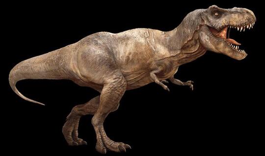 Mengenal Mosasaurus dan Tyrannosaurus rex