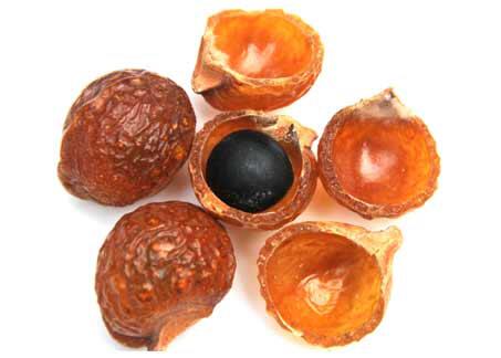 Buah Asli Indonesia Ini Berpotensi Selamatkan Bumi #IniIndonesiaku