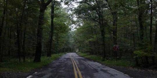 Kupas Tuntas Misteri Tentang Alas Roban Yang Bikin Merinding