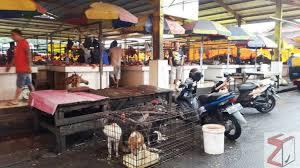 Pasar Ekstrim Tomohon Daftar Harga Gudangnya Makanan Ekstrem