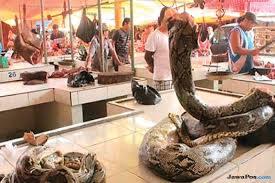 Pasar Ekstrim Tomohon Daftar Harga Gudangnya Makanan Ekstrem