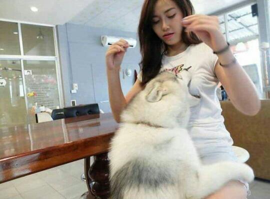 Yuk Cari Tau Apa Sih Arti Posisi Tidur Anjing Anda Page 2