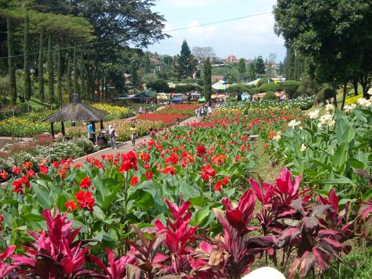 Wisata Hemat 5 Kebun Bunga Di Bandung Ini Wajib Dikunjungi