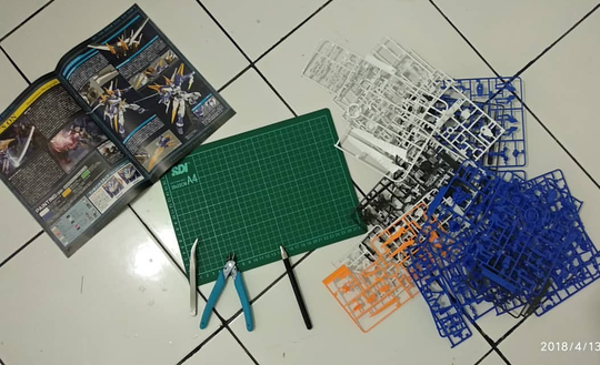 Rakit Gundam Astray Blue Frame D (MG)