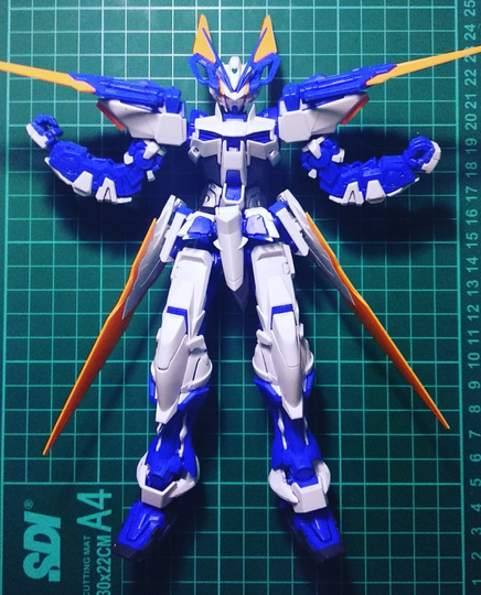 Rakit Gundam Astray Blue Frame D (MG)