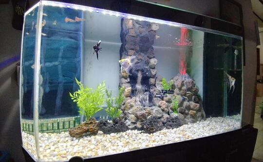 4800 Desain Aquarium Dari Barang Bekas HD