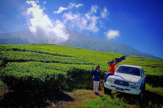 6 Wisata Kebun Teh Di Jawa Timur Ini Gak Kalah Keren Dengan