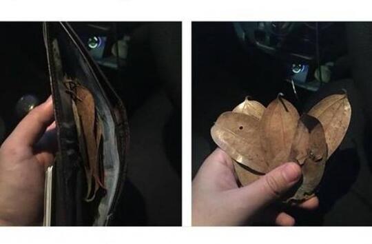 FOTO Mistis! "KUNTILANAK" Maen Ke Malaysia Bayar Taksi GRAB Pakai Ini?!
