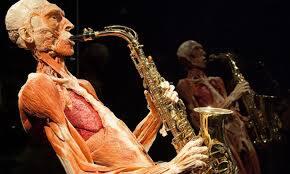 Museum Mayat Body Worlds
