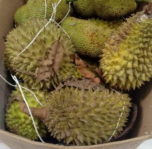 Tips memilih durian yang bagus dan manis